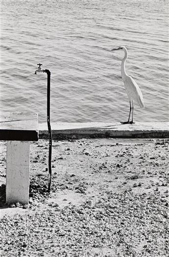 ELLIOTT ERWITT (1928-2023) A Portfolio of Ten Photographs. 1946-68; printed 1974.